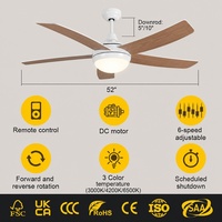 Ventilateur de plafond LED moderne de 52 pouces avec pales en ABS, télécommande optionnelle Tuya Smart, moteur BLDC tout cuivre, pour maison et hôtel