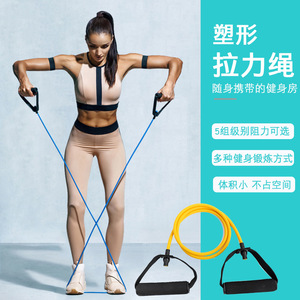 Extreme Joy Bird Resistance Band, corde élastique pour l'entraînement du torse et des bras, équipement de fitness d'intérieur - Product Image 5