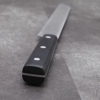 Ensemble de couteaux de chef de cuisine en acier inoxydable 5 pièces de haute qualité avec poignée de polissage ABS