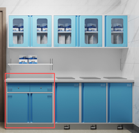 Armoire de traitement hospitalière en acier électrolytique sur mesure avec rangement de médicaments stériles et plan de travail pour salle de destruction