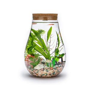 Décoration de maison de table Vase <span class=keywords><strong>en</strong></span> <span class=keywords><strong>verre</strong></span> décoratif <span class=keywords><strong>en</strong></span> forme de larme Terrarium pour plantes - Product Image 1