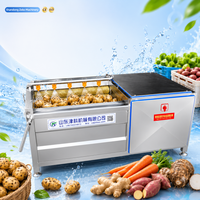 Laveuse industrielle à rouleaux pour légumes, pommes de terre, carottes, gingembre, pour la transformation alimentaire commerciale