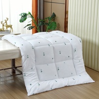 Lit de salon de beauté coussin épaissi matelas antidérapant salon de beauté chaud doux massage spa couette