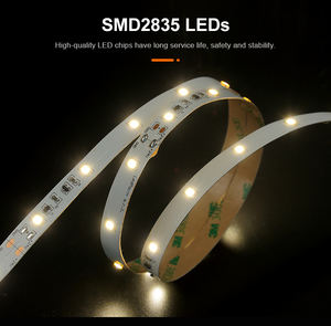 2025 diskon besar-besaran cahaya Strip fleksibel Led 7W/M 24v SMD2835 10mm silikon tahan air IP68 - Product Image 4