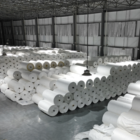 China Tubulaire PP Geweven Weefselrol - Vochtbestendig Offsetdruk Op Maat Kleur 50-230gsm Dikte ZHIYE Merk voor Industrie