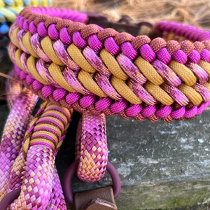 Paracord Halsband En Leiband Set Met Zware Hondenriem Voor Kleine Middelgrote Honden - Product Image 2