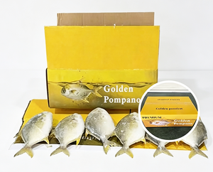 <span class=keywords><strong>Poisson</strong></span> Pompano Doré Congelé, Pomfret Doré Congelé IQF 300-400g 400-500g, Fruits de Mer d'Élevage en Gros pour l'Europe - Product Image 1