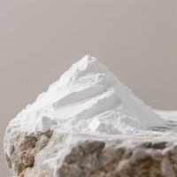 CAS 1305-62-0 Chaux hydratée d'additif alimentaire de chaux d'hydroxyde de calcium de haute pureté au prix d'usine