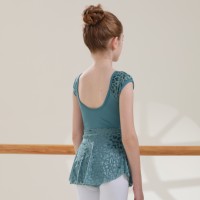 2024 vente en gros échantillons gratuits nouveaux tissus manches léopard velours Ballet danse filles robe avec jupes en velours