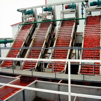 Automatische tomatenketchup productielijn complete sausverwerkingsinstallatie concentratie menging sterilisatie vulapparatuur