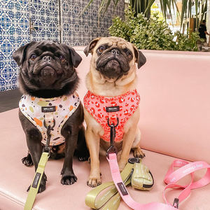 Harnes anjing dan Set tali anjing dapat disesuaikan Harness anjing tidak menarik tanpa tersedak Harness anak anjing untuk berjalan untuk kecil, sedang, hewan peliharaan besar - Product Image 2