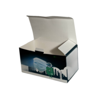 Boîte cadeau en carton écologique haut de gamme, personnalisée et imperméable, pour masques médicaux/produits jetables, fermeture magnétique