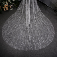 Voiles de mariée longues en dentelle de tulle scintillante, design luxueux, appliqué ivoire, avec peigne, vente chaude