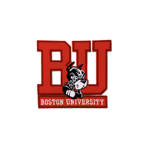 Tùy chỉnh cao đẳng các bản vá lỗi thể thao Mỹ ncaa chủ đề thêu sắt trên Đại Học các bản vá lỗi cho cap - Product Image 4