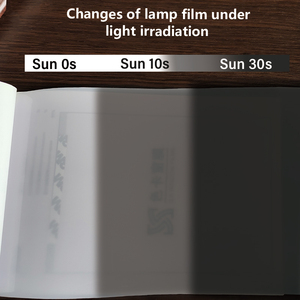 Película Protectora de Pintura TPU para Faros Delanteros y Traseros de Automóviles, Fotocromática UV Inteligente, de Luz LED, de Blanco a Negro - Product Image 5