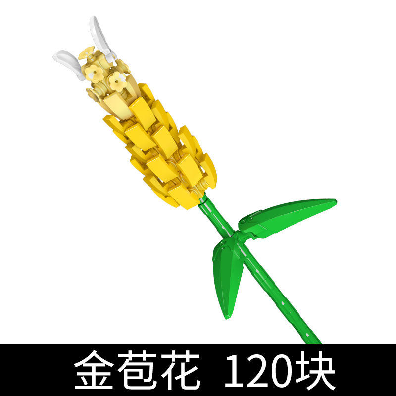 24006 กลีบดอกสีทอง