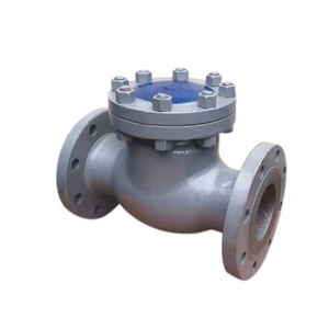 DN100-DN1000 4inch-40inch ANSI tiêu chuẩn cf8 wcb thép không gỉ gang im lặng im lặng kiểm tra van - Product Image 1