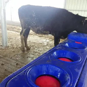 First Rate Factory Direct Supply PE Material 4m Insulated Animal Drinking Equipment Livestock Cattle Water Trough