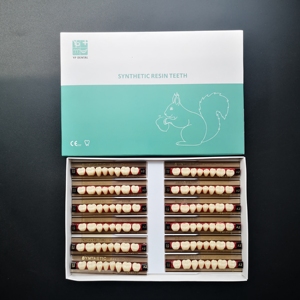 Верхняя Нижняя искусственная акриловая смола, зубы, передняя, задняя, межзубный протез - Product Image 5