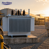 Transformateur de distribution immergé dans l'huile 200 500 800 KVA 10KV 20KV pour centrales solaires, économie d'énergie, prix industriel personnalisé