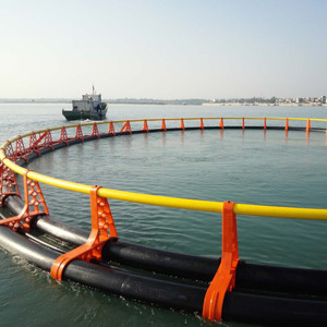 Jaula Flotante para Peces de HDPE Anti-Tifón |   Jaula de Acuicultura de Alta Resistencia para Aguas Profundas - Product Image 3