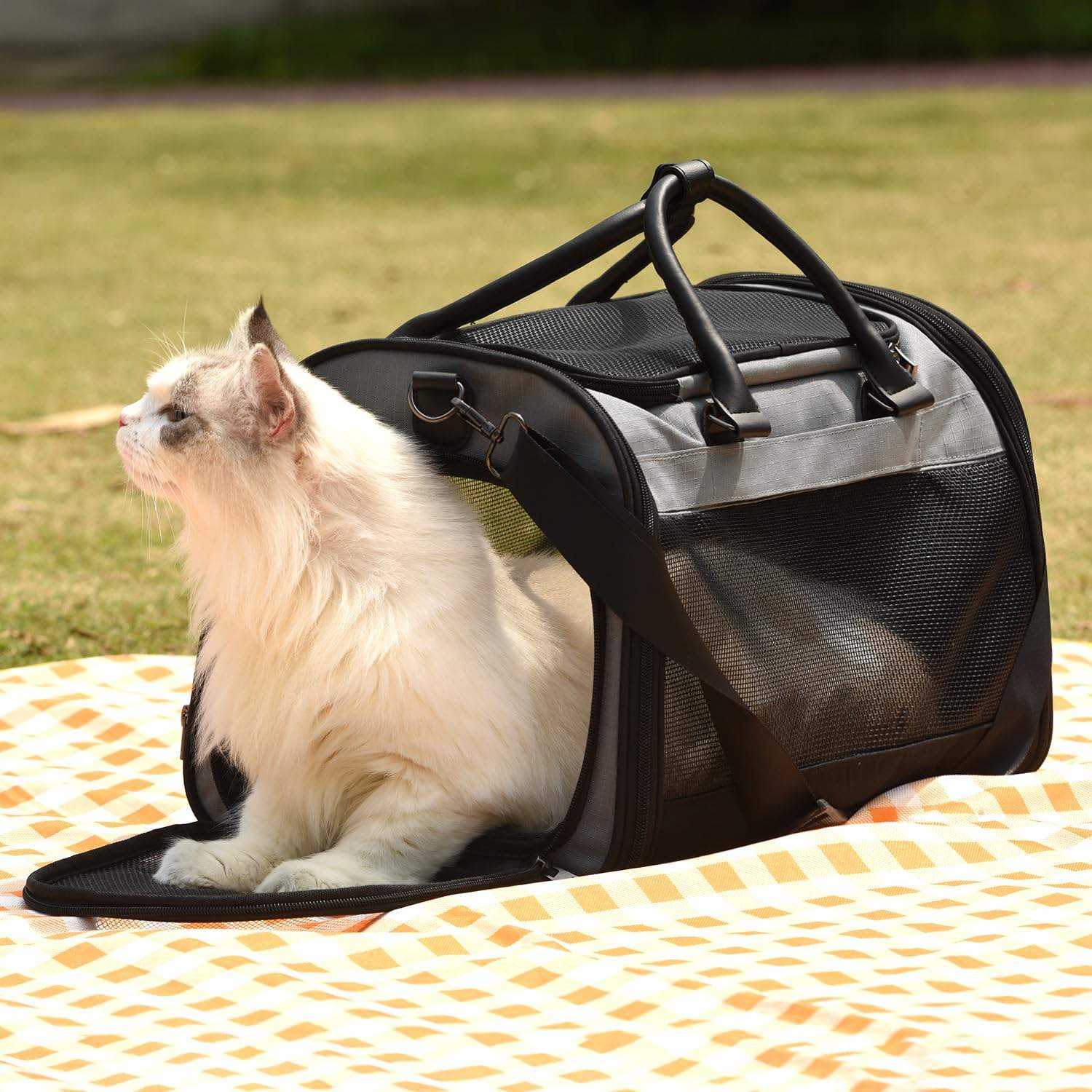 สีเทากับสีดำ