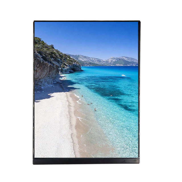 Portrait 50 pin TFT LCD MIPI DSI interface 7.9 8 inch LCD Panel 1536*2048 1536x2048 TFT Display