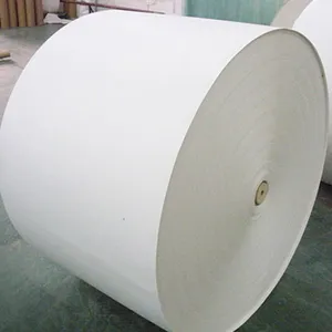 Customized Size Single Side PE-coated Paper Waterproof And Oil-proof For Food Wrapping