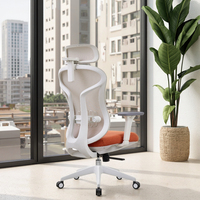 Chaise de bureau ergonomique Design moderne en maille Support lombaire à réglage automatique Certifié Classe-3 Ascenseur à gaz Hauteur réglable Chaise de bureau