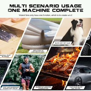 Mini souffleur d'air électrique portable avec lumière, alimenté par batterie, pour le refroidissement des véhicules de loisirs, la voiture, le nettoyage de la poussière, le camping, la cuisine - Product Image 4