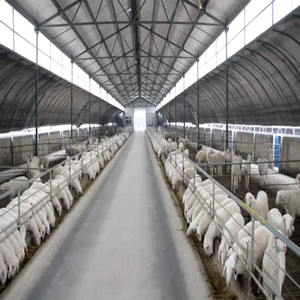 Abri pour animaux à Structure en acier à faible coût, modèles de hangar industriel préfabriqués - Product Image 4