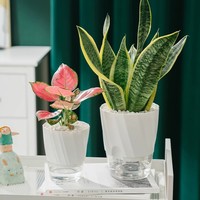 Pot Bunga Desain Stylish untuk Dalam & Luar Ruangan, Bahan Plastik, Sistem Penyiraman Otomatis, Grosir