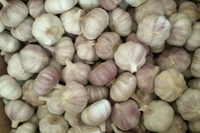 Ail frais 2025 3-4cm normal/blanc pur 10kg sac ail pelé prix d'exportation bas