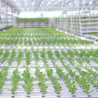 Système hydroponique à canal NFT en PVC de qualité alimentaire avec pente intégrée et support de charge lourde pour l'agriculture en serre