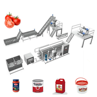 Automatische 3-25 Ton Per Uur Fruitpulpmachine Tomatenpulpmachine Voor Verwerkingslijn