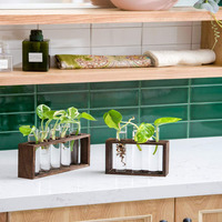 Grand kit de support en bois pour terrarium de bureau et jardinière de coupe hydroponique Vase à fleurs en verre pour la propagation des plantes
