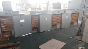 220V động cơ mới cao trứng nở máy cho gà vịt gà tây đà điểu ngỗng chim cút tuyệt vời trang trại 528 lồng ấp tự động - Product Image 5
