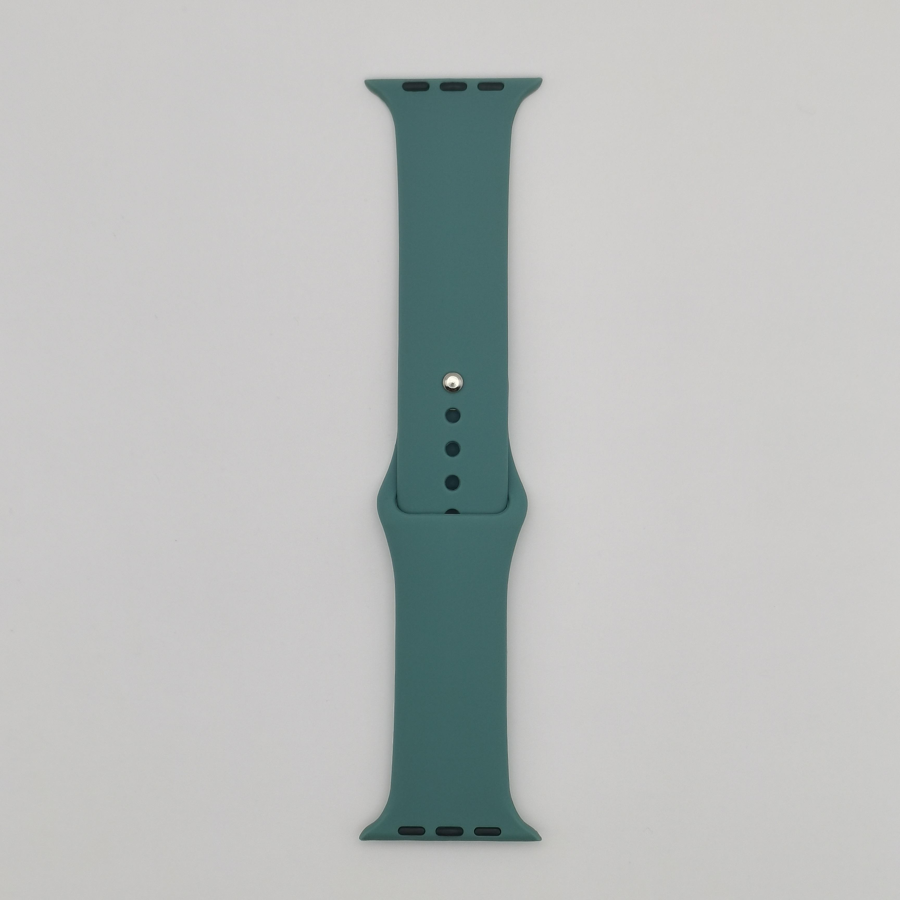 28เข็มสนสีเขียว