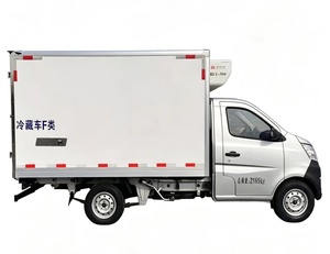 Venta de Camiones Refrigerados Pequeños de <span class=keywords><strong>1</strong></span> <span class=keywords><strong>a</strong></span> 3 Toneladas para el Transporte de Productos Congelados - Camiones Refrigerados - Product Image 4