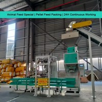 Machine d'Emballage Automatique pour Granulés et Riz, Ensacheuse de 5kg, 10kg, 15kg, 20kg, 25kg