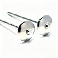 Clous de toiture en aluminium robustes pour camping-cars avec finition résistante aux intempéries