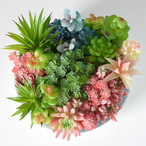 Huaien Mini planta <span class=keywords><strong>suculenta</strong></span> verde Artificial Bonsai plástico para DIY decoración del hogar ornamento decoración de oficina ornamento - Product Image 1