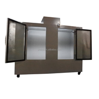 Réfrigérateur à glace à 2 portes vitrées personnalisable par le fabricant avec refroidissement par ventilateur pour affichage commercial