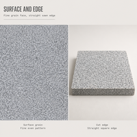 Carreaux de granit blanc sésame G603 600x600x30mm Revêtement mural en pierre pour façade de bâtiment