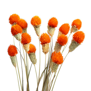 Vela de flores secas Yunnan, decoración de flores secas reales, venta al por mayor, decoraciones de boda para interiores, <span class=keywords><strong>buquet</strong></span> de flores secas degradables - Product Image 4