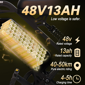 新趋势 500W 儿童小型电动自行车 电动越野车 电动电池自行车 48V13Ah 迷你 16 英寸电动城市运动自行车 - Product Image 6