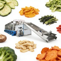 Automatische 500kg/uur machine voor het wassen, snijden en meerdere lagen drogen met warme lucht van verse fruit- en groentechips voor voedingsmiddelenindustrie