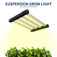 Fabricant chinois OEM ODM, logo personnalisé, conception gratuite, support IP65, barres lumineuses LED miniatures pour plantes d'intérieur, dimmables 0-10v
