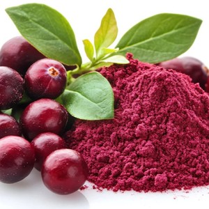 Polvo de Arándano Silvestre, Extracto Natural de Plantas, Grado Alimenticio, Ingredientes para Bebidas y Alimentos, Nutritivo, Alto en Proteínas, Rico en Omega-3 - Product Image 2