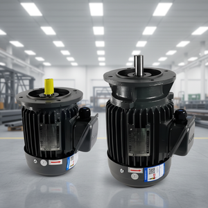มอเตอร์เทโค แบบสามเฟส ชนิดเหนี่ยวนำ แนวนอน ระดับ IP55 คลาส F 1500 รอบต่อนาที 380V/400V 50Hz มอเตอร์ไฟฟ้าแบบปิดผนึกป้องกัน - Product Image 1